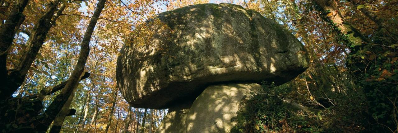 Chambre D'Hotes De La Roche Tremblante Huelgoat Ngoại thất bức ảnh